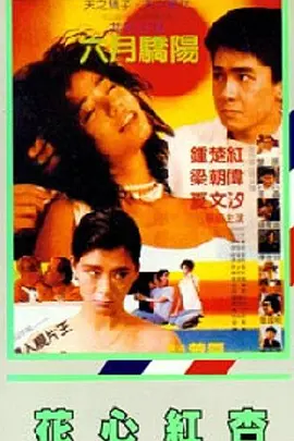 永久免费无内鬼放心开车