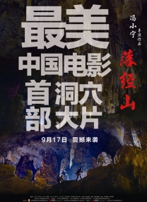 男女午夜视频在线观看