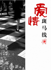 国产亚洲精品观看91在线